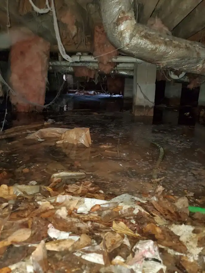 Crawl space flood assessment for Leak Detection & Repair in Fort Carson